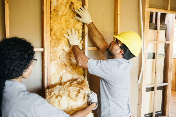 Best Home Insulation Services  in Harlan, KY